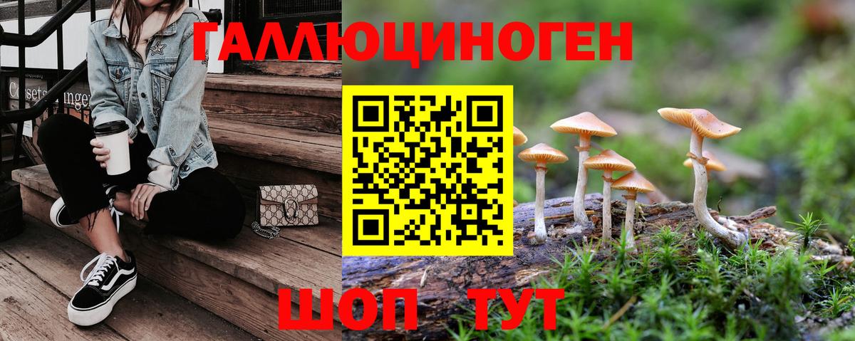 Псилоцибиновые грибы Psilocybine cubensis Малгобек