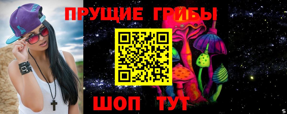 Псилоцибиновые грибы Psilocybine cubensis  Вход с VPN  Малгобек 
